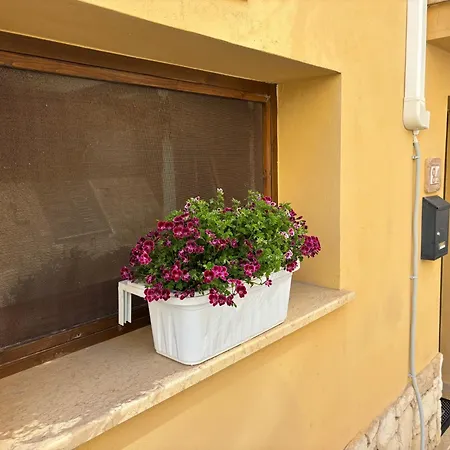 Guest house Via Neve-historical Centre *